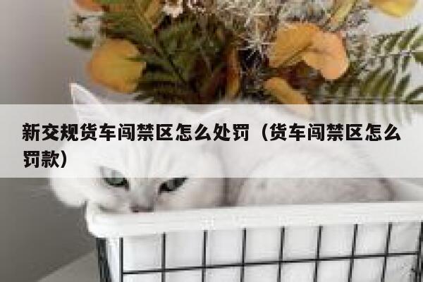 新交规货车闯禁区怎么处罚（货车闯禁区怎么罚款） 第1张