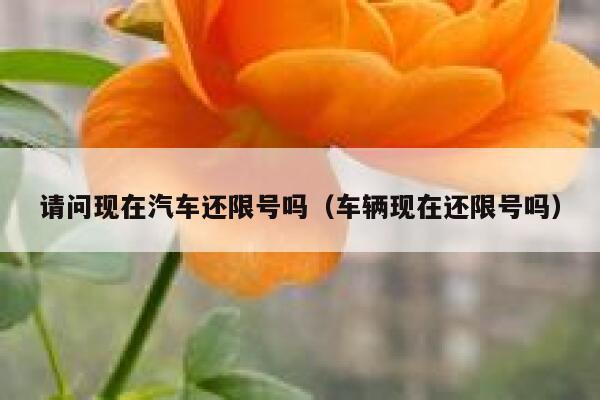 请问现在汽车还限号吗（车辆现在还限号吗） 第1张