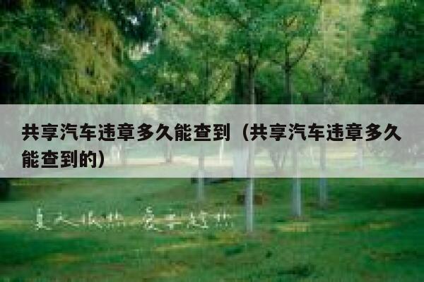 共享汽车违章多久能查到（共享汽车违章多久能查到的） 第1张