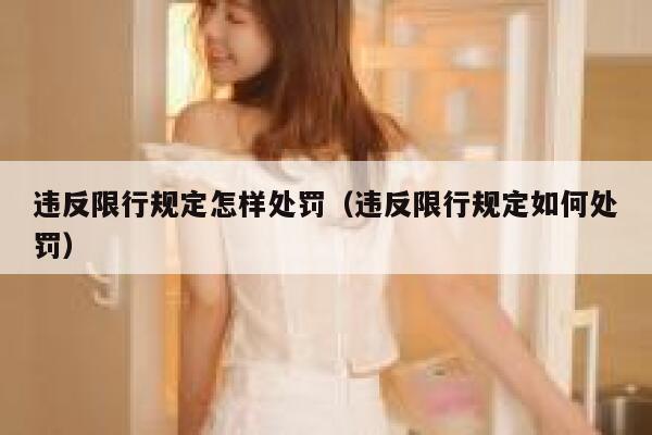违反限行规定怎样处罚（违反限行规定如何处罚） 第1张