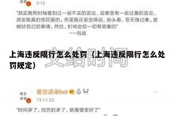 上海违反限行怎么处罚（上海违反限行怎么处罚规定） 第1张