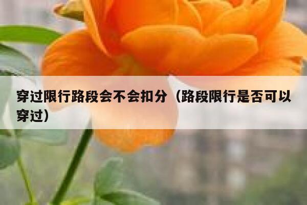 穿过限行路段会不会扣分（路段限行是否可以穿过） 第1张
