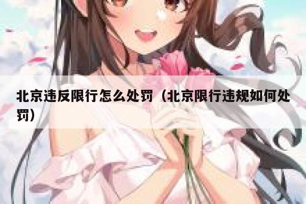 北京违反限行怎么处罚（北京限行违规如何处罚） 第1张