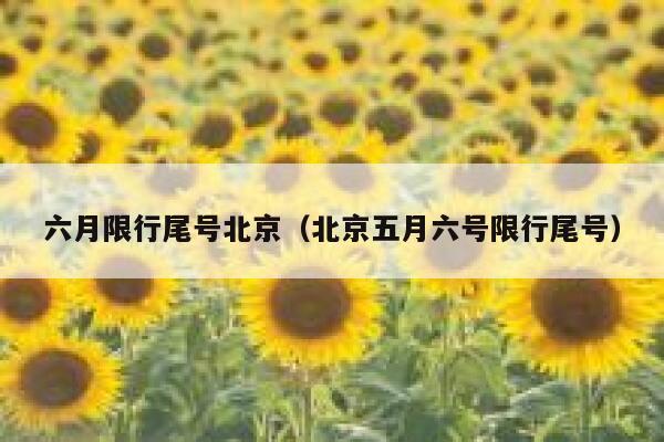 六月限行尾号北京（北京五月六号限行尾号） 第1张