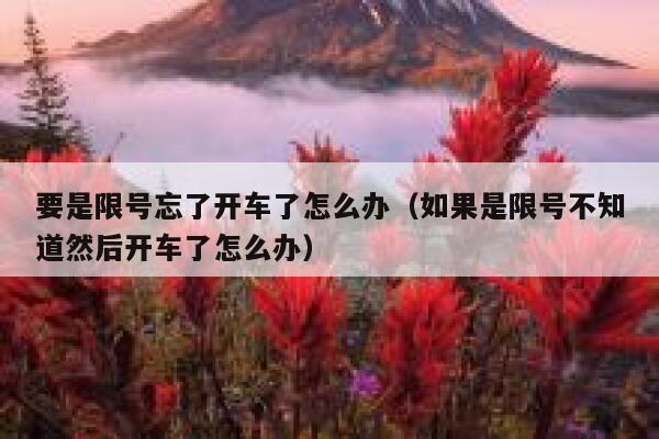 要是限号忘了开车了怎么办（如果是限号不知道然后开车了怎么办） 第1张