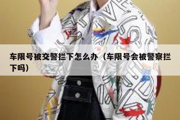 车限号被交警拦下怎么办（车限号会被警察拦下吗） 第1张