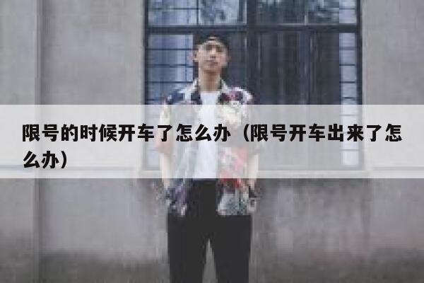 限号的时候开车了怎么办（限号开车出来了怎么办） 第1张