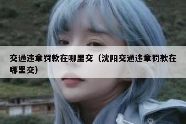 交通违章罚款在哪里交（沈阳交通违章罚款在哪里交） 第1张