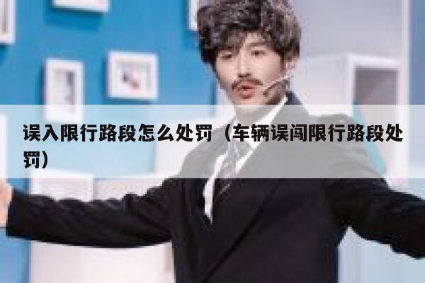 误入限行路段怎么处罚（车辆误闯限行路段处罚） 第1张