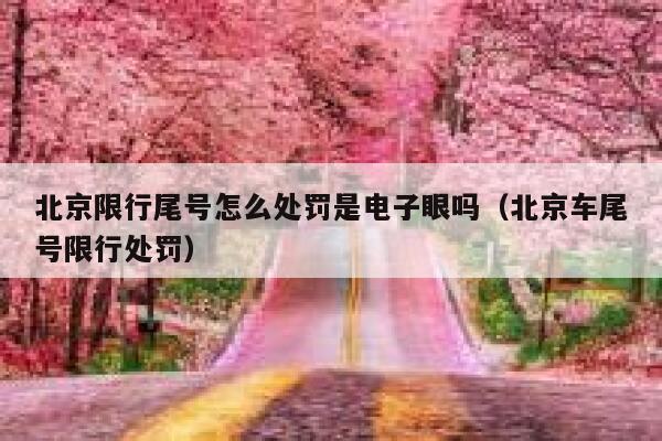 北京限行尾号怎么处罚是电子眼吗（北京车尾号限行处罚） 第1张