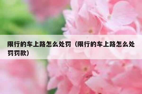 限行的车上路怎么处罚（限行的车上路怎么处罚罚款） 第1张