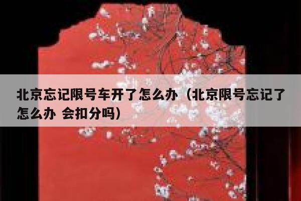 北京忘记限号车开了怎么办（北京限号忘记了怎么办 会扣分吗） 第1张