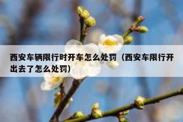 西安车辆限行时开车怎么处罚（西安车限行开出去了怎么处罚） 第1张