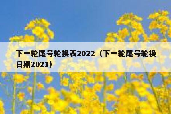 下一轮尾号轮换表2022（下一轮尾号轮换日期2021） 第1张