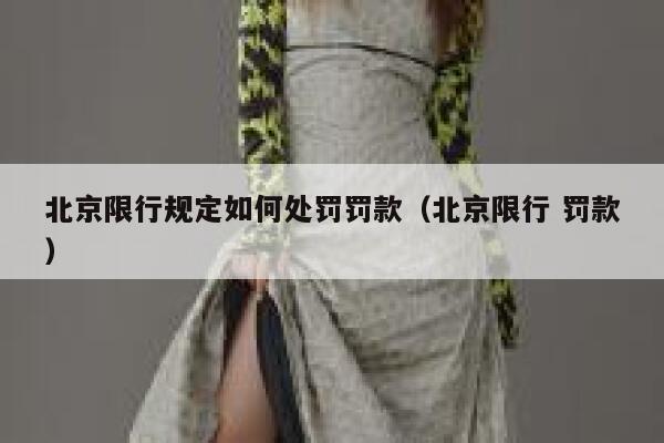 北京限行规定如何处罚罚款（北京限行 罚款） 第1张