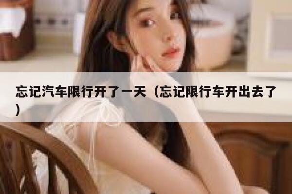 忘记汽车限行开了一天（忘记限行车开出去了） 第1张