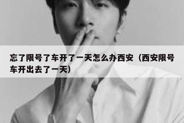 忘了限号了车开了一天怎么办西安（西安限号车开出去了一天） 第1张
