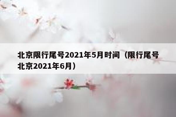 北京限行尾号2021年5月时间（限行尾号北京2021年6月） 第1张