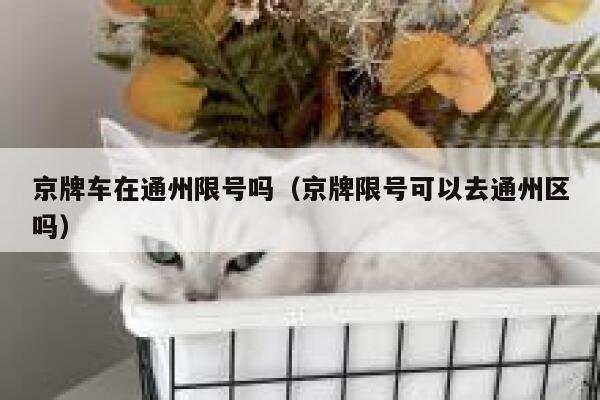 京牌车在通州限号吗（京牌限号可以去通州区吗） 第1张