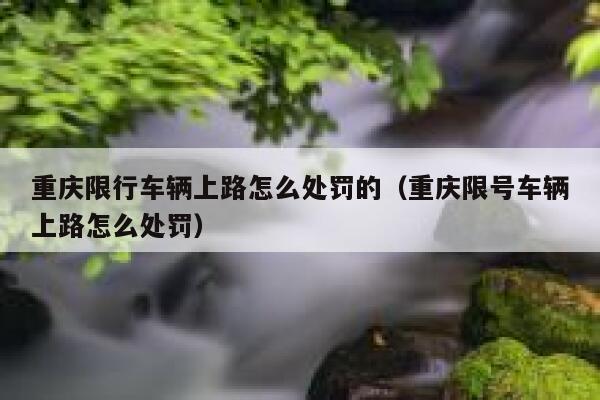 重庆限行车辆上路怎么处罚的（重庆限号车辆上路怎么处罚） 第1张