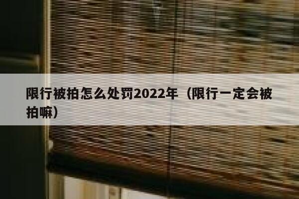 限行被拍怎么处罚2022年（限行一定会被拍嘛） 第1张