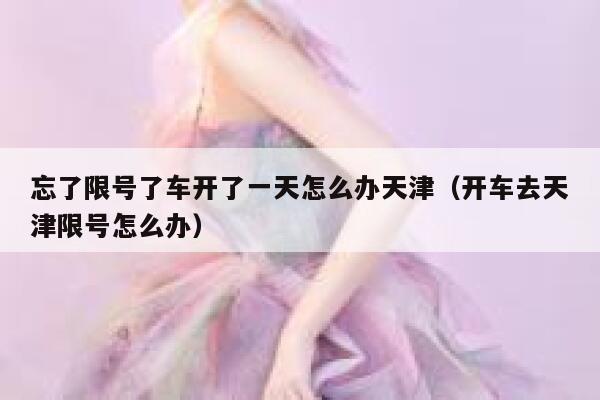 忘了限号了车开了一天怎么办天津（开车去天津限号怎么办） 第1张
