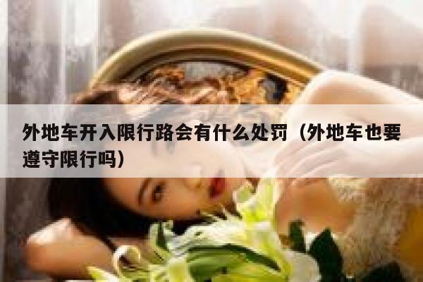 外地车开入限行路会有什么处罚（外地车也要遵守限行吗） 第1张