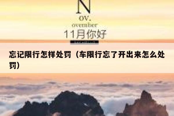 忘记限行怎样处罚（车限行忘了开出来怎么处罚） 第1张