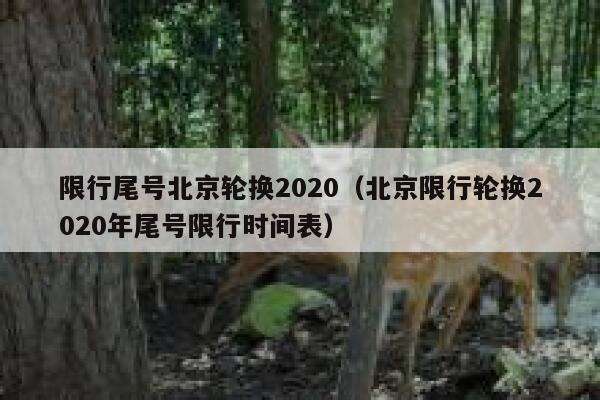 限行尾号北京轮换2020（北京限行轮换2020年尾号限行时间表） 第1张