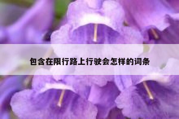包含在限行路上行驶会怎样的词条 第1张
