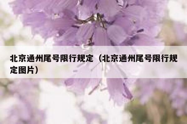 北京通州尾号限行规定（北京通州尾号限行规定图片） 第1张