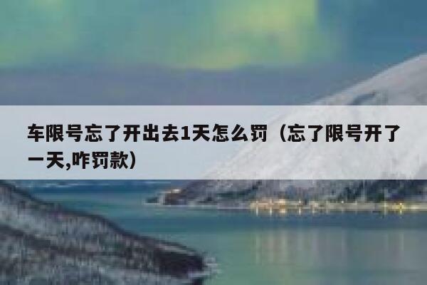车限号忘了开出去1天怎么罚（忘了限号开了一天,咋罚款） 第1张
