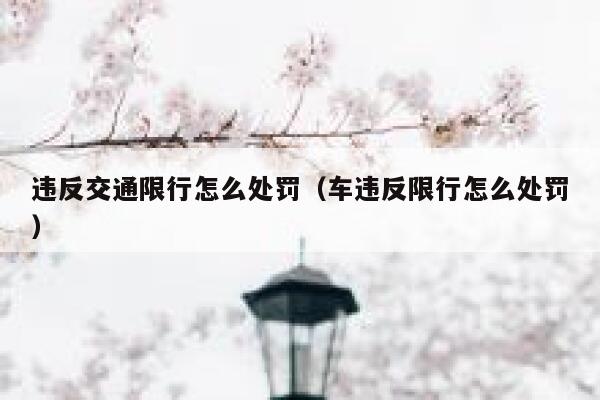 违反交通限行怎么处罚（车违反限行怎么处罚） 第1张