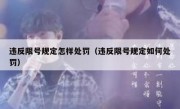 违反限号规定怎样处罚（违反限号规定如何处罚） 