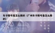 车子限号是怎么限的（广州车子限号是怎么限的） 