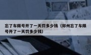 忘了车限号开了一天罚多少钱（郑州忘了车限号开了一天罚多少钱） 