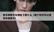 查车牌限号车辆能下载什么（哪个软件可以查询车辆限号） 