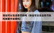 微信可以交违章罚款吗（微信可以交违章罚款吗需要手续费吗） 