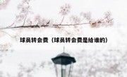 球员转会费（球员转会费是给谁的） 