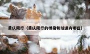 重庆限行（重庆限行的桥梁和隧道有哪些） 