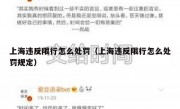 上海违反限行怎么处罚（上海违反限行怎么处罚规定）