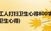 帮助环卫工人打扫卫生心得800字(帮助环卫工人打扫卫生心得)