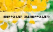 限行开车怎么处罚（保定限行开车怎么处罚） 