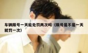 车辆限号一天能处罚两次吗（限号是不是一天就罚一次） 