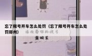 忘了限号开车怎么处罚（忘了限号开车怎么处罚郑州） - 高通咨询