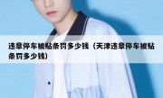 违章停车被贴条罚多少钱（天津违章停车被贴条罚多少钱） 