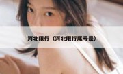 河北限行（河北限行尾号是） 