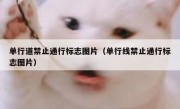 单行道禁止通行标志图片（单行线禁止通行标志图片） 