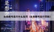 北京限号出行什么处罚（北京限号出行罚款） 