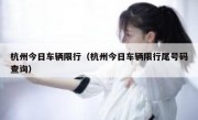 杭州今日车辆限行（杭州今日车辆限行尾号码查询） 